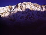 306 Annapurna Main, Central, East Summits Just After Sunrise From Annapurna Sanctuary Base Camp �I scrambled up the moraine ridge and gazed for the first time at the entire South Face of Annapurna. My own reaction was the same as Don's: the first impression was one of size - it was a really huge face, one of steepness and then, as I examined each feature through the binoculars, I realized that the Face could be broken into ar�tes, ridges, gullies, separate snowfields and rock walls. This was something that we could climb, and from that moment I felt confident we had a good chance� (Chris Bonington, Annapurna South Face).